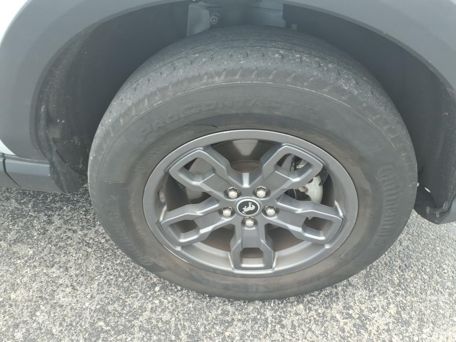 Photo 5