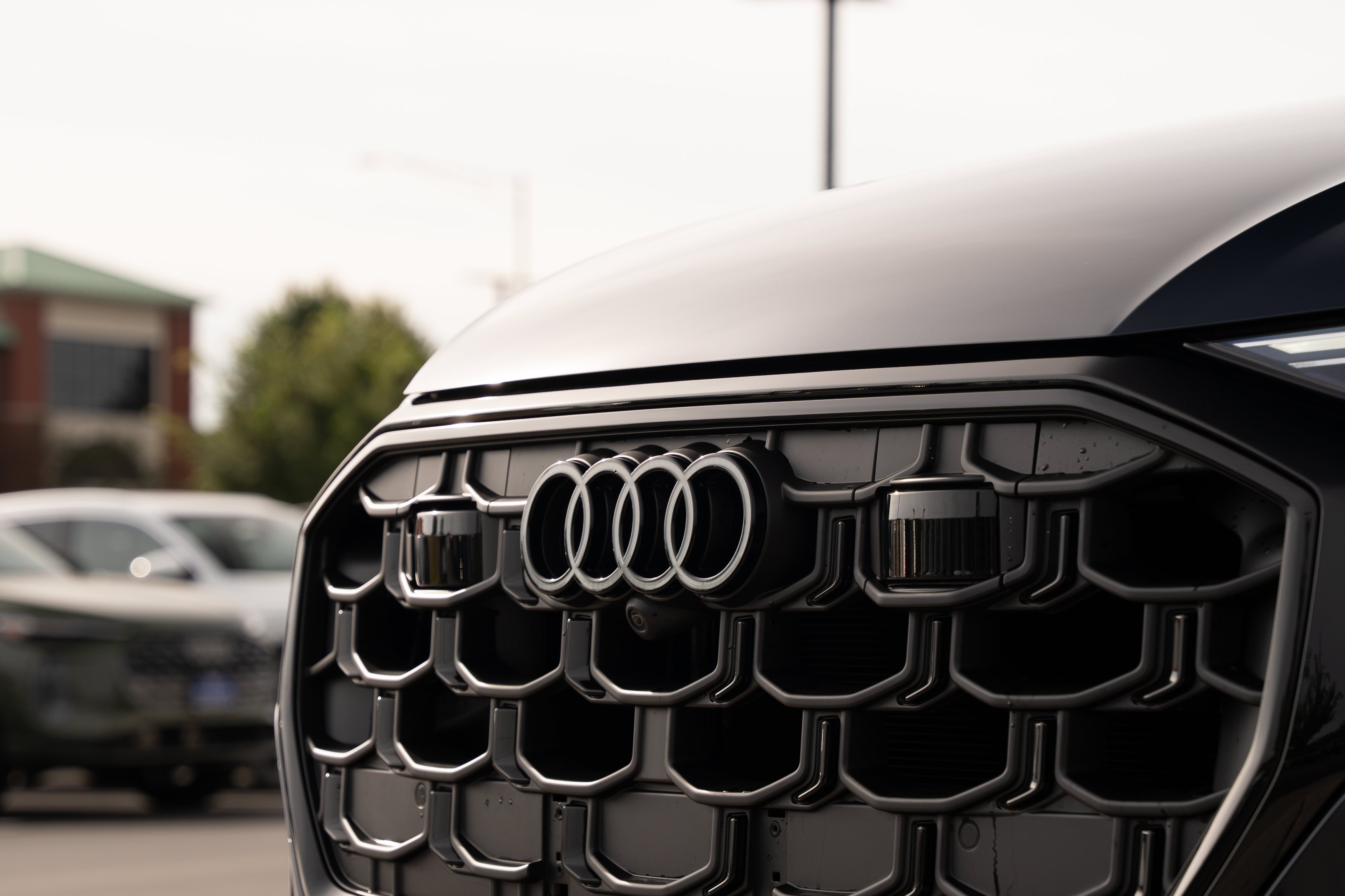New 2027 Waitomo Audi Premium Plus image 39