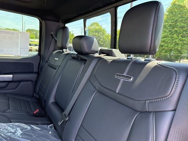 New 2026 Agate Black Metallic Ford Platinum image 16