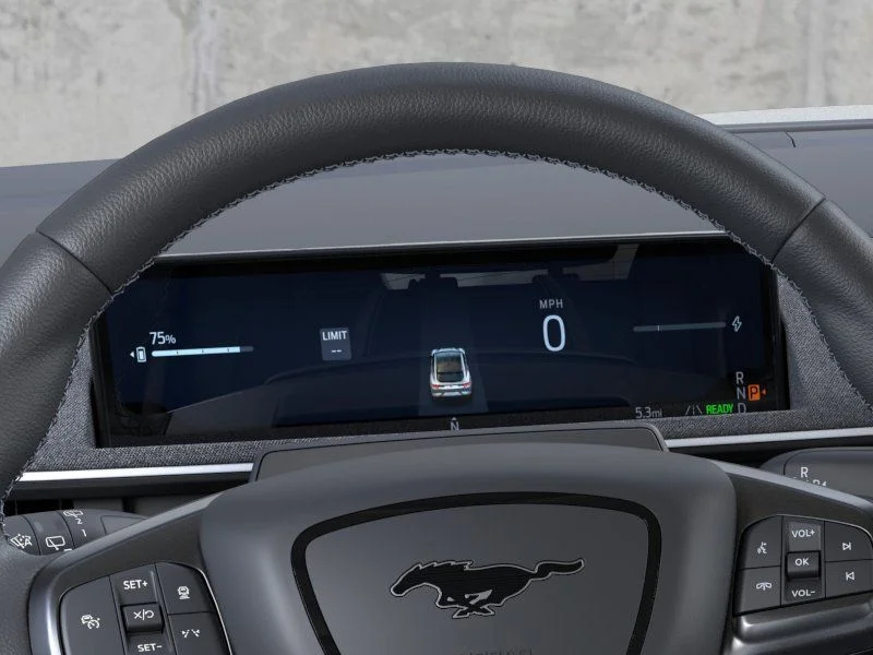 2025 Ford Mustang Mach-E GT - Photo 13