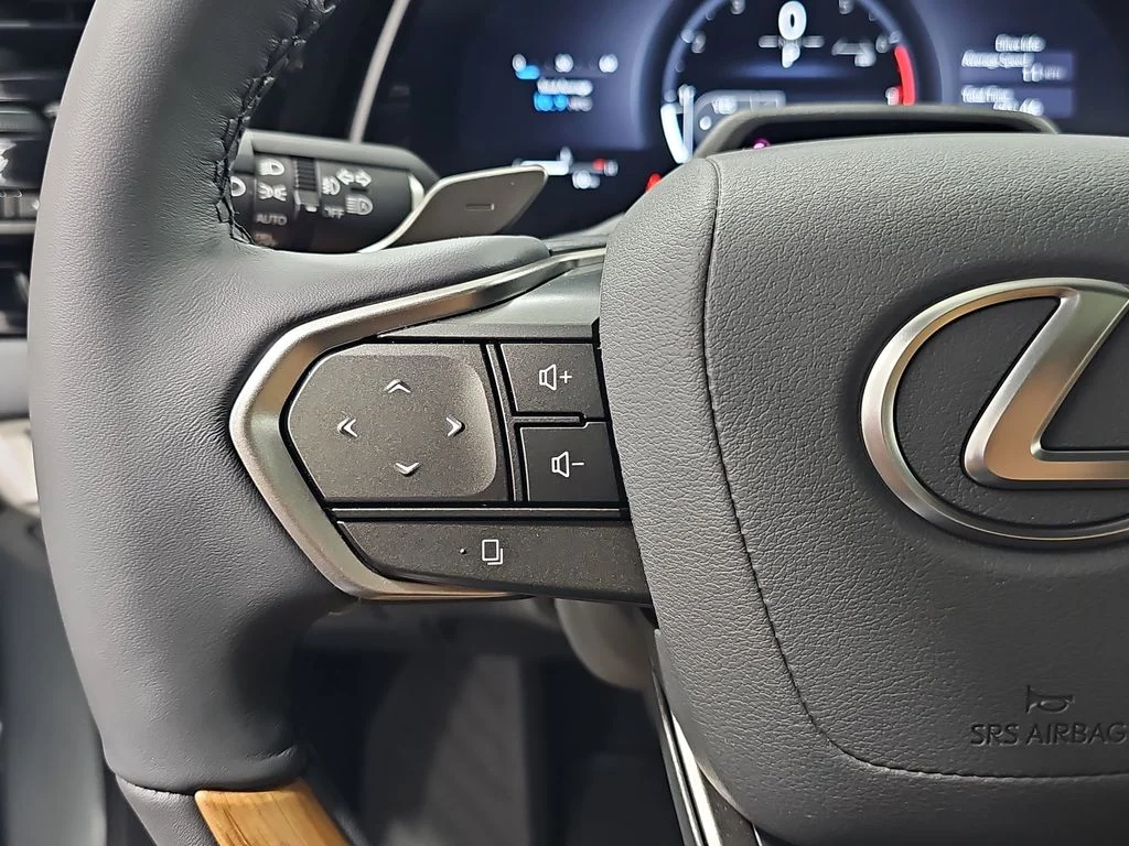 New 2026 Iridium Lexus PREMIUM PLUS image 16