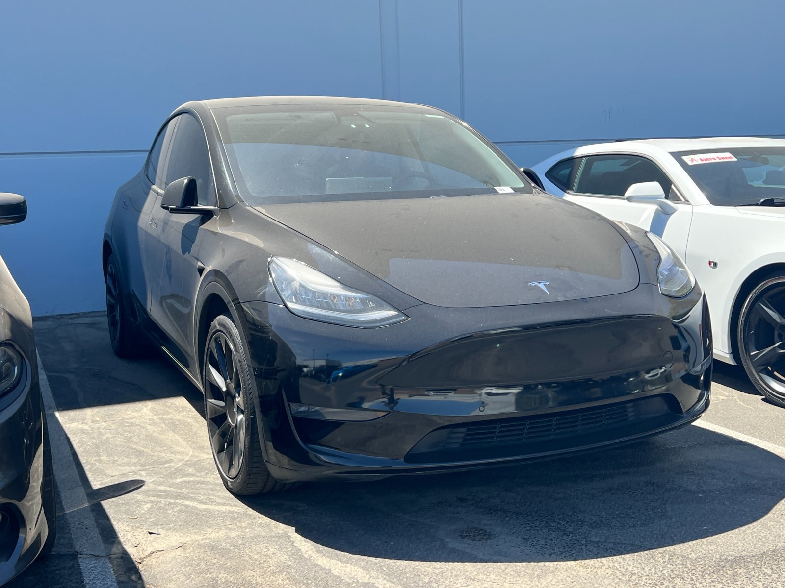 2020 Tesla Model Y