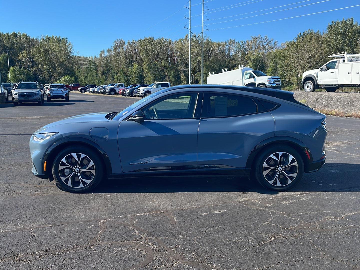 Used 2023 Vapor Blue Metallic Ford Premium image 2