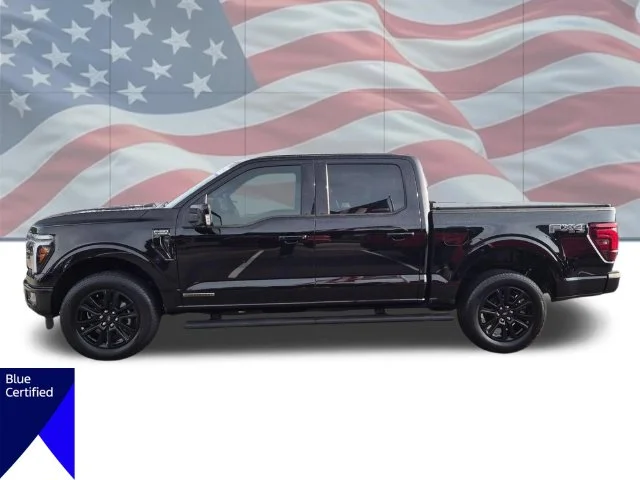 Used 2025 Black Ford Platinum image 7