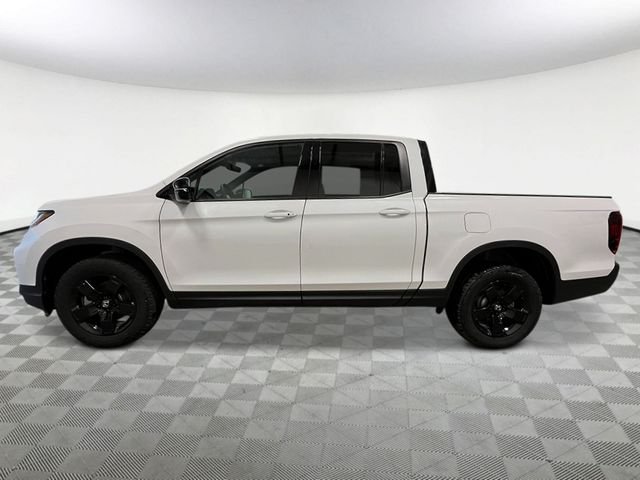 New 2026 Platinum White Pearl Honda Black Edition image 2