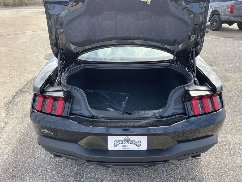 New 2026 Shadow Black Ford EcoBoost image 10