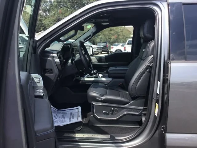 2025 Ford F-150 Platinum - Photo 9