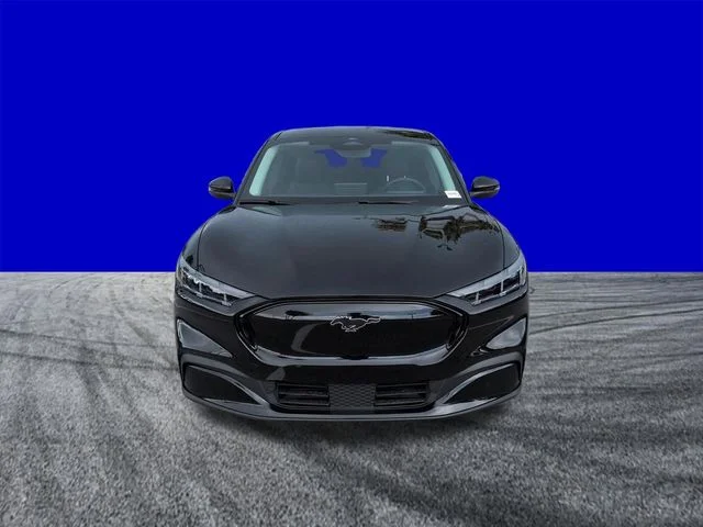 New 2026 Shadow Black Ford Premium image 9