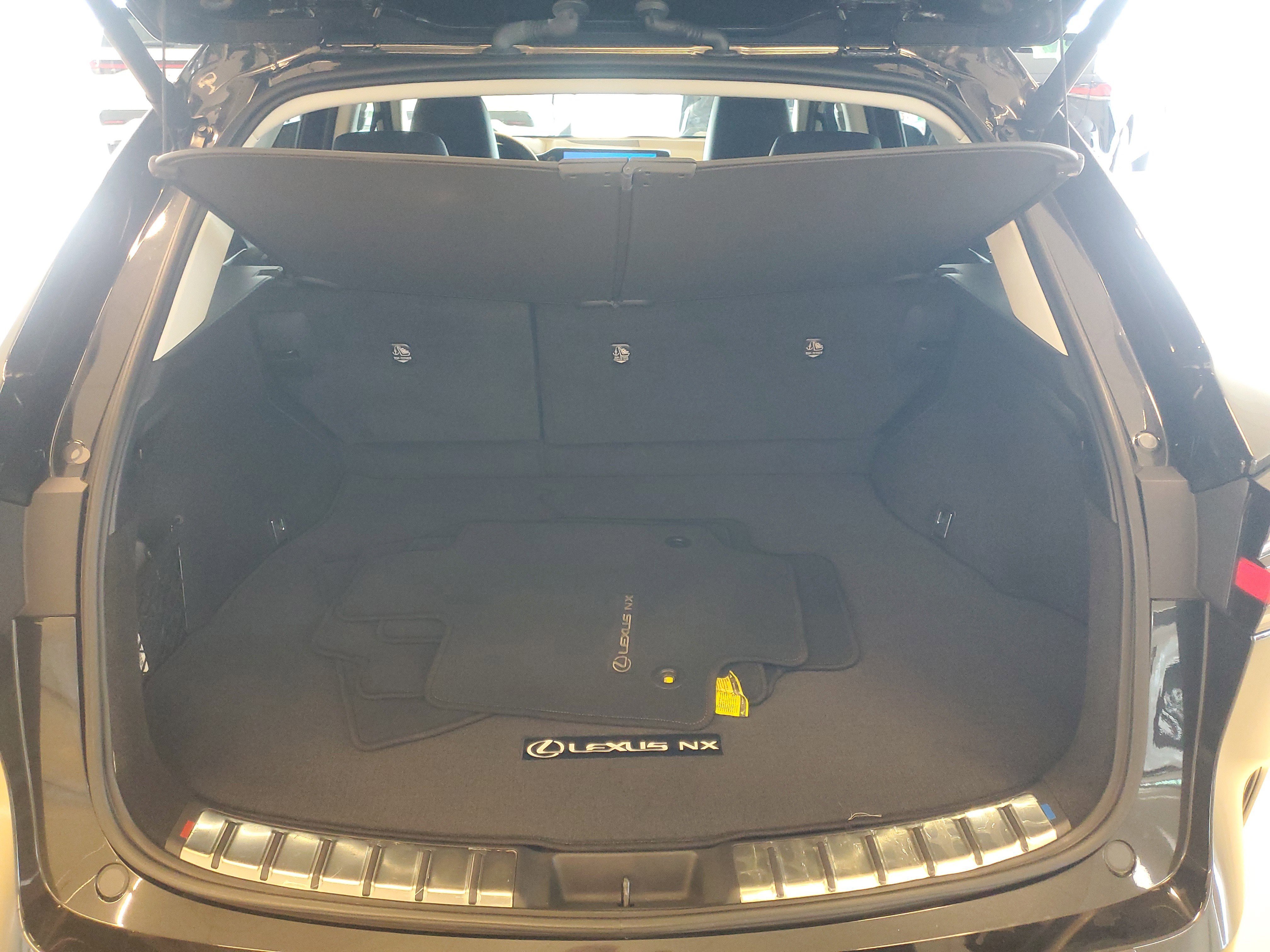 Used 2024 Caviar Lexus NX 250 Premium image 12