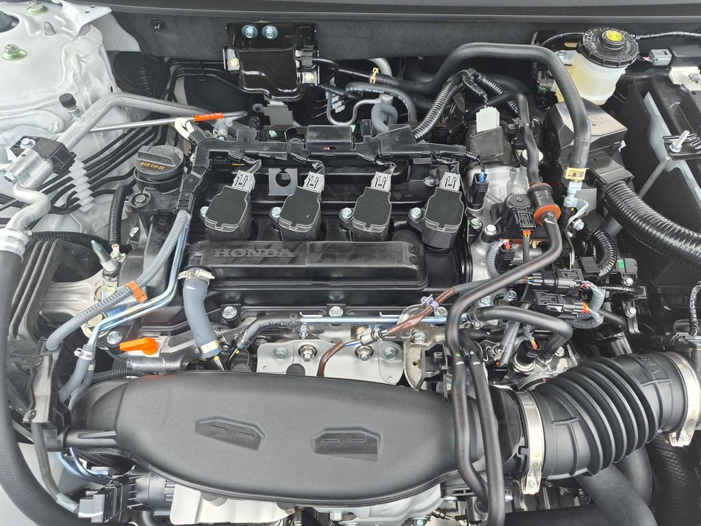 New 2026 Platinum White Pearl Honda LX image 7