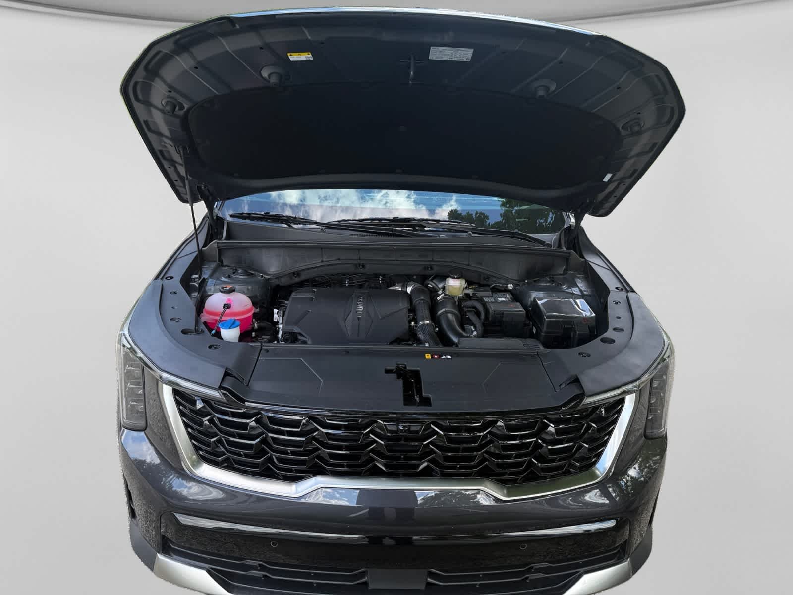 New 2026 Panthera Metal Kia SX image 24