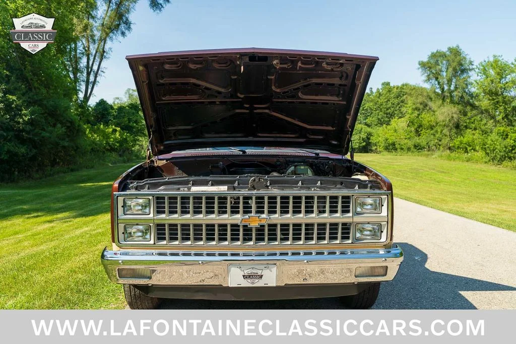 Used 1982 Brown Chevrolet  image 58