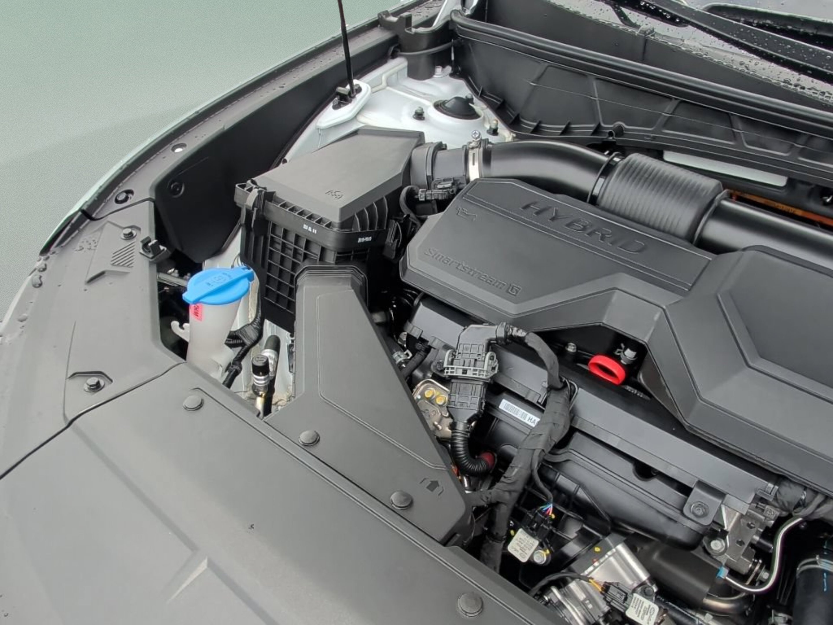 New 2026 Creamy White Pearl Hyundai SEL Convenience image 13