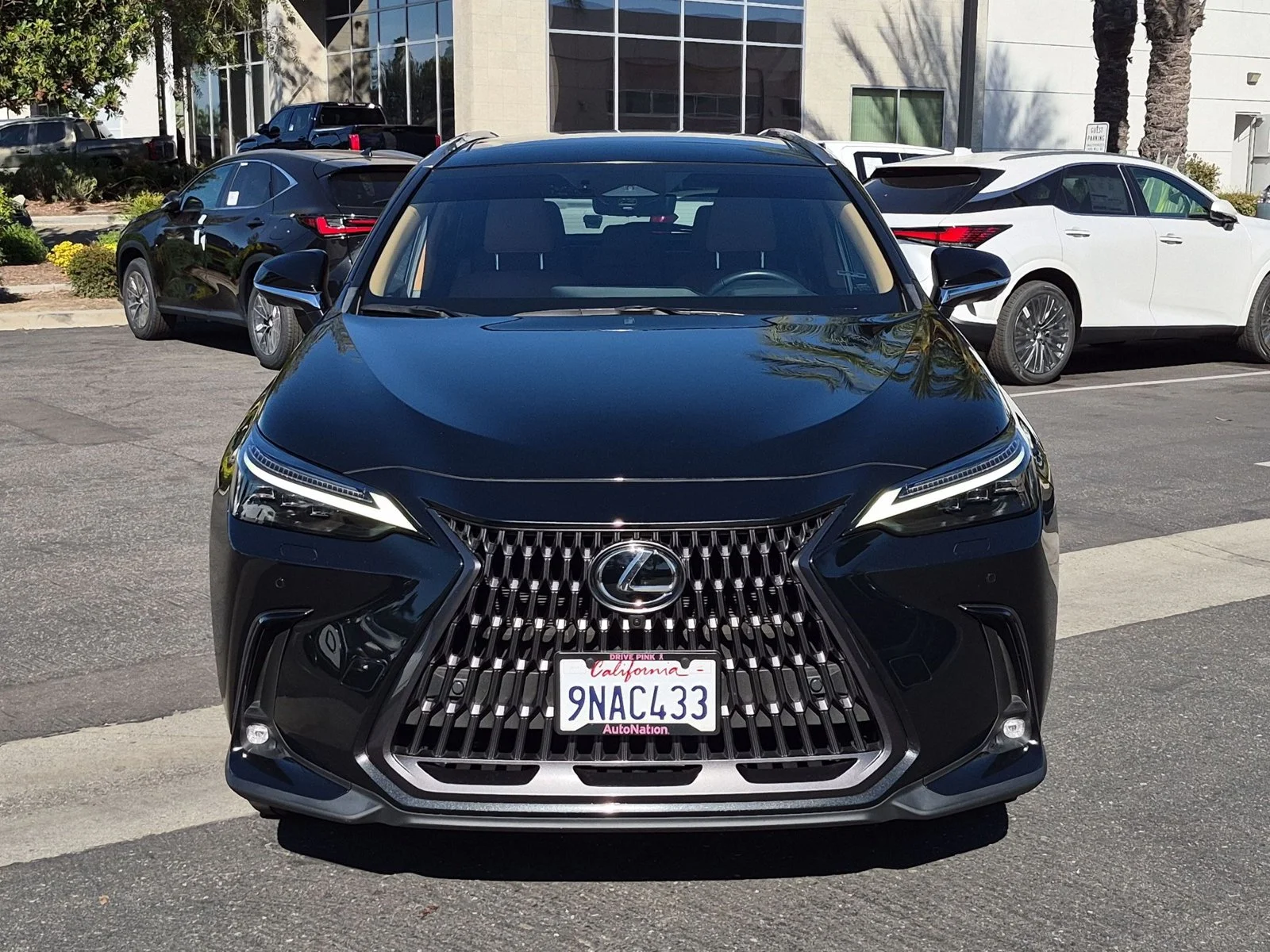 Used 2025 Caviar Lexus NX 350 Luxury image 2
