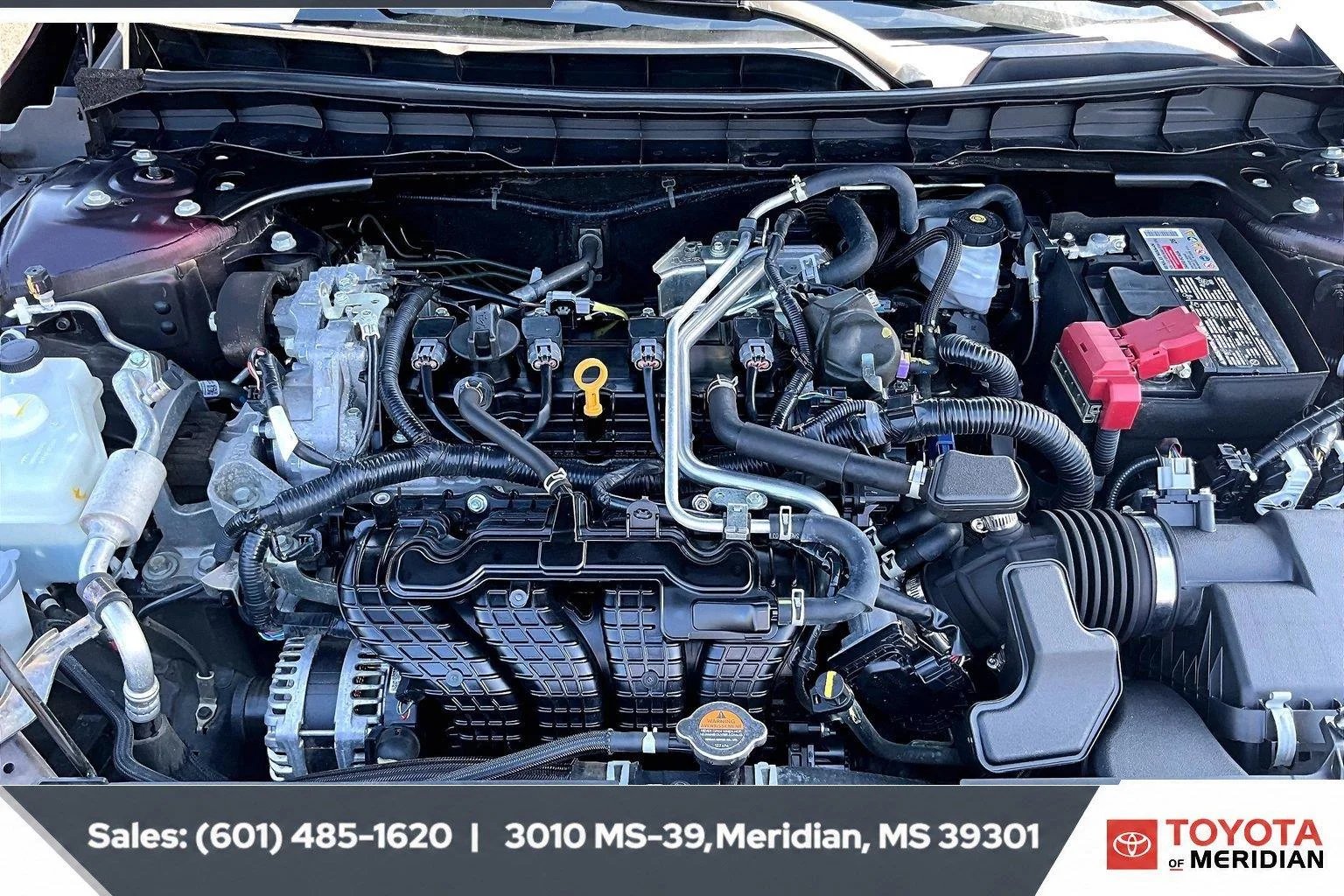 Used 2025 Garnet Pearl Metallic Nissan SV image 8