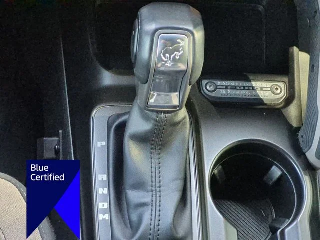 Used 2022 Gray Ford Big Bend image 27