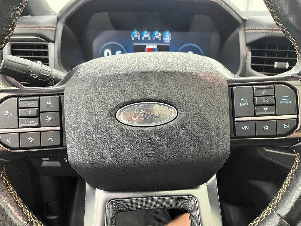 Used 2022 Black Ford Platinum image 24