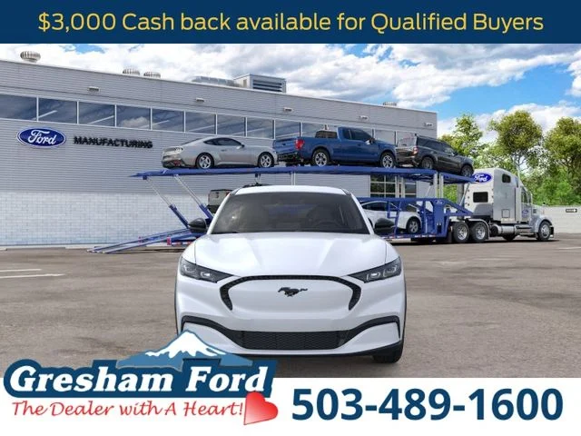 New 2026 White Ford Select image 6