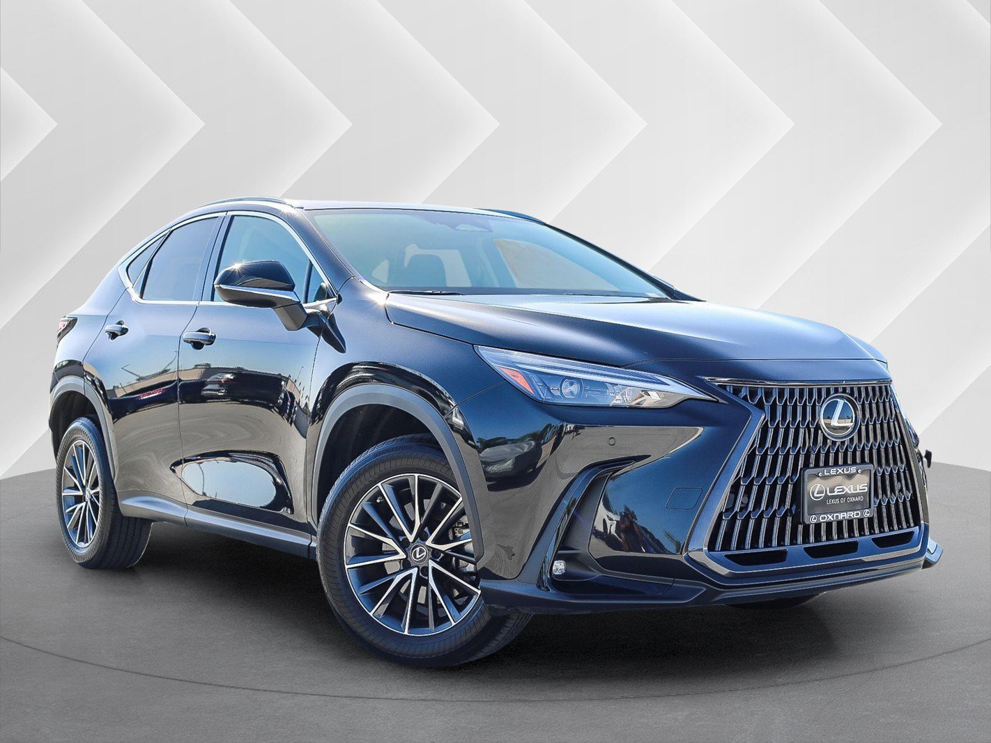2022 Lexus NX 350