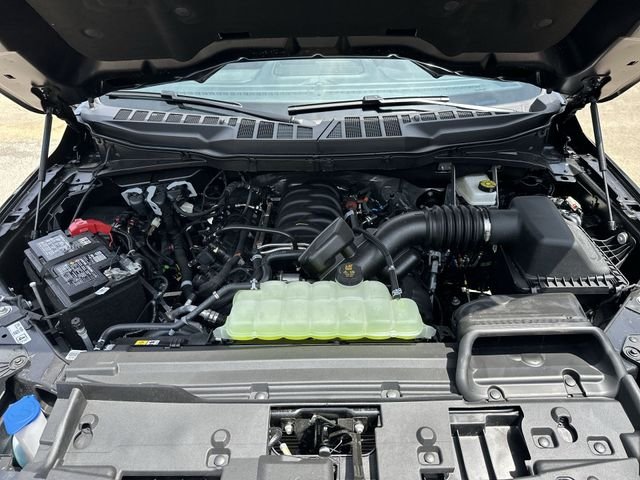 New 2026 Black Ford XLT image 19