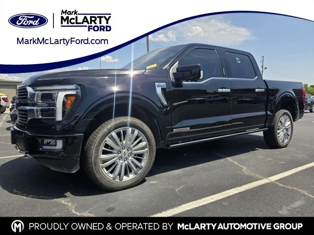 Used 2024 Black Ford Platinum image 1