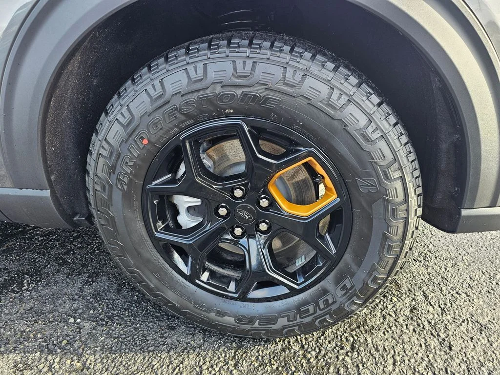New 2026 Gray Ford Tremor image 9