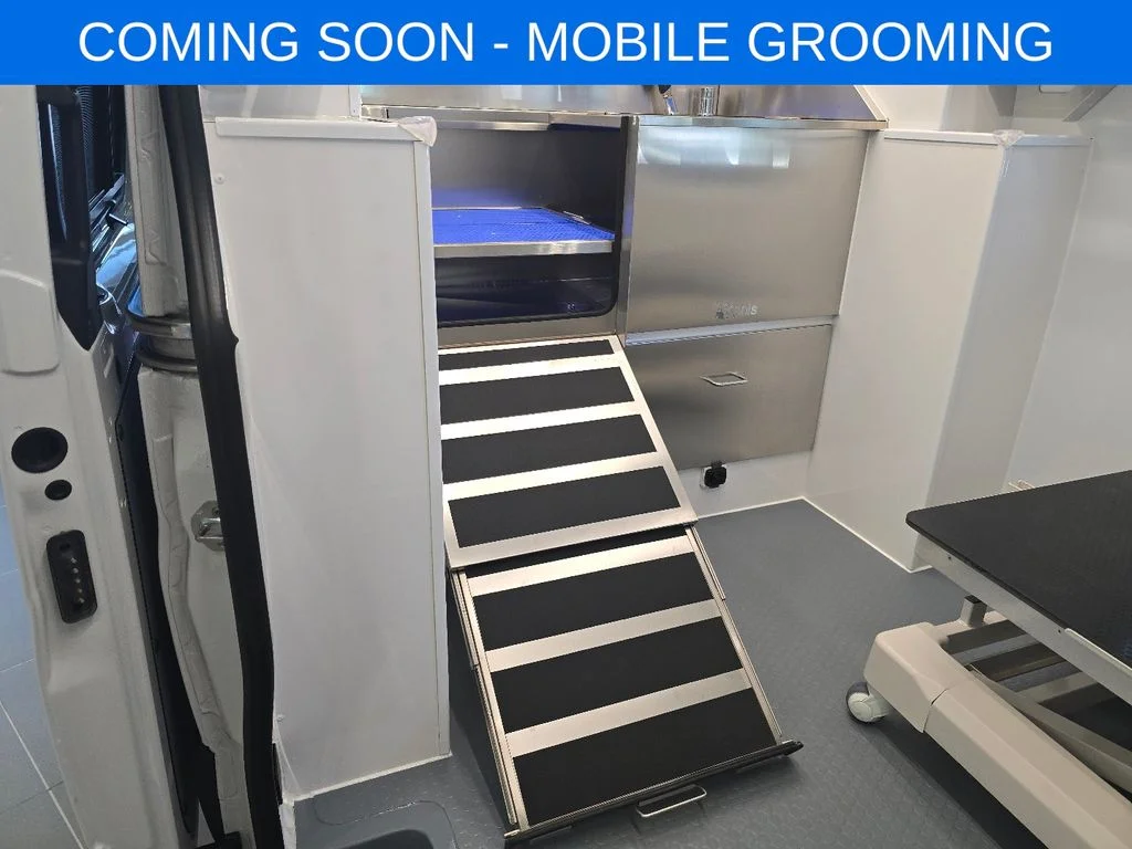 2026 Mercedes-Benz Sprinter Cargo Van Base - Photo 17
