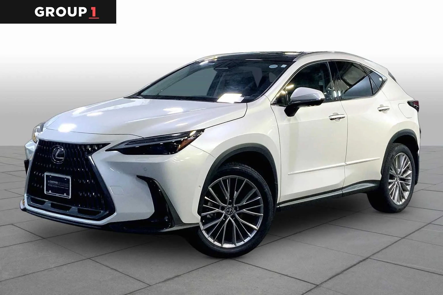 2024 Lexus NX 350h 350h Luxury AWD's photo