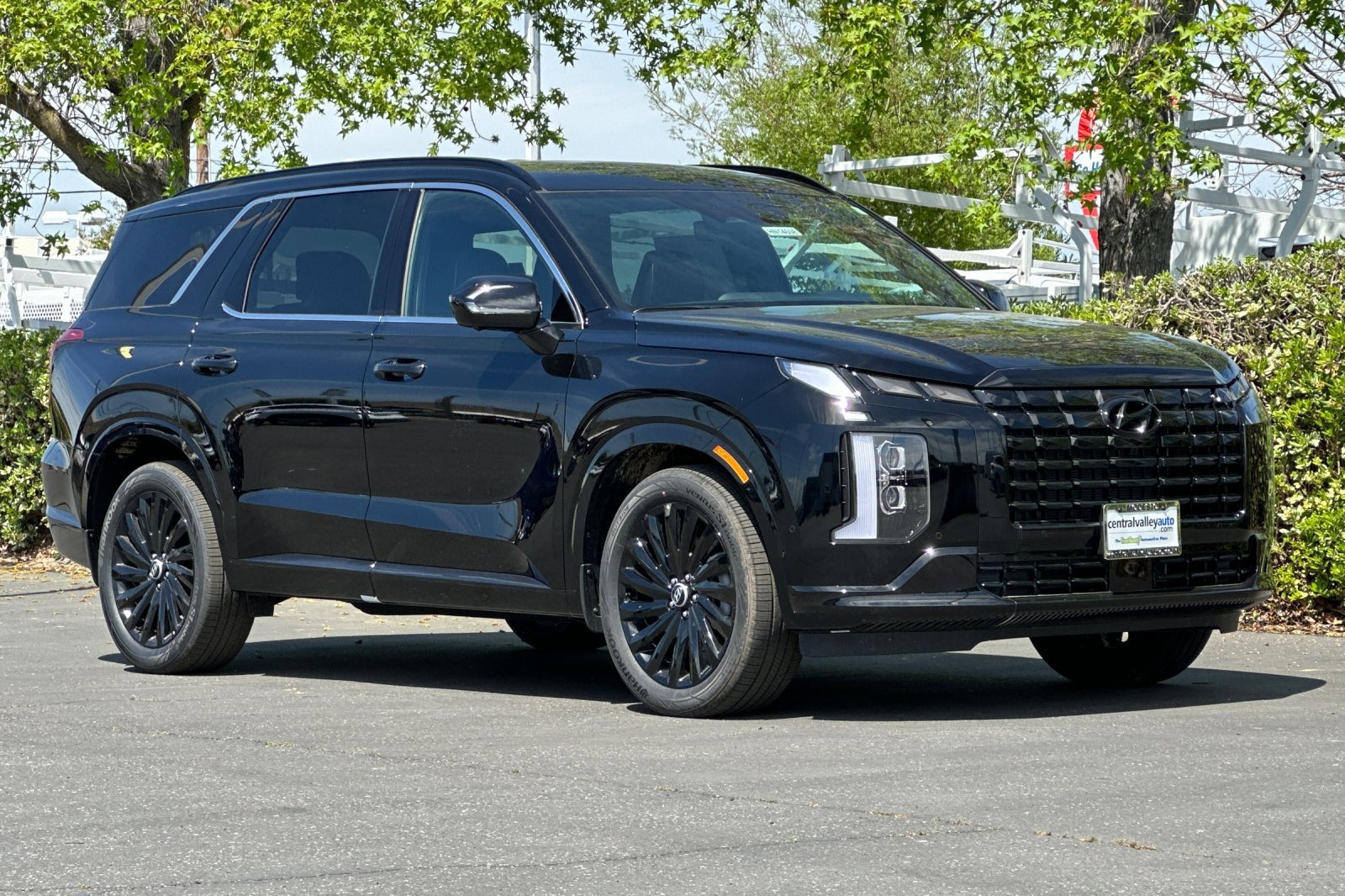 2025 Hyundai Palisade Calligraphy Night Edition - Photo 28