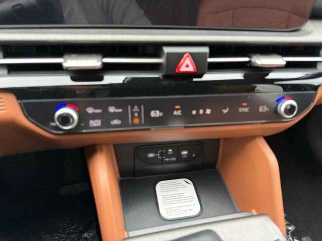 New 2026 Panthera Metal Kia X-Line image 19