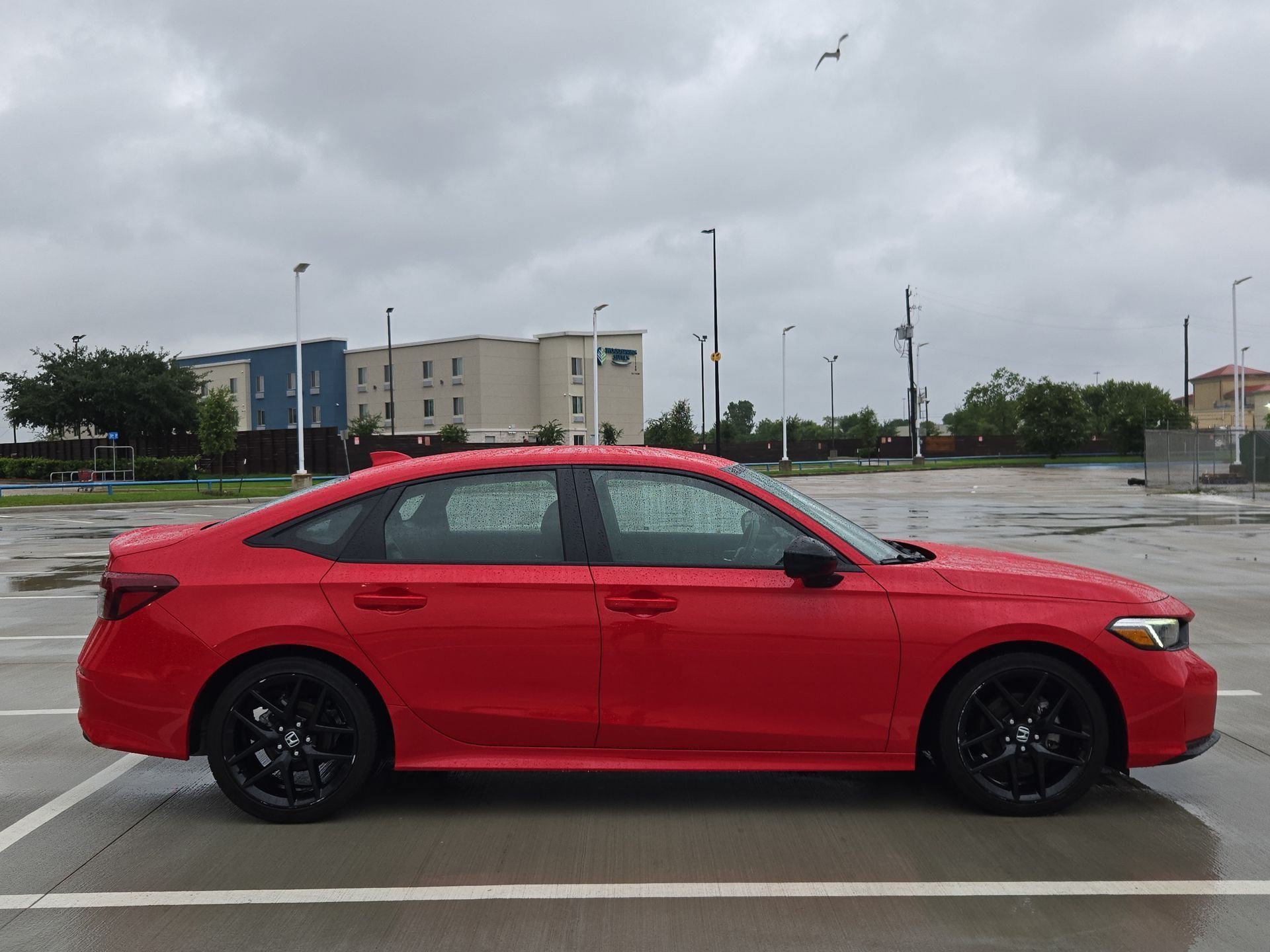 Certified Used 2025 Rallye Red Honda Sport image 2