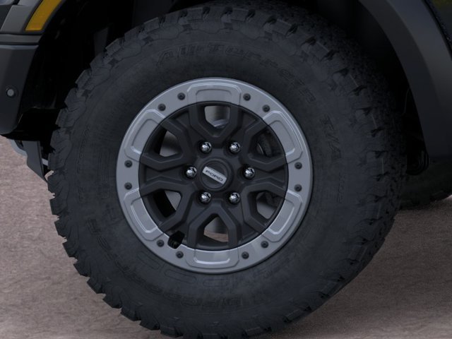 New 2026 Shadow Ford Raptor image 19