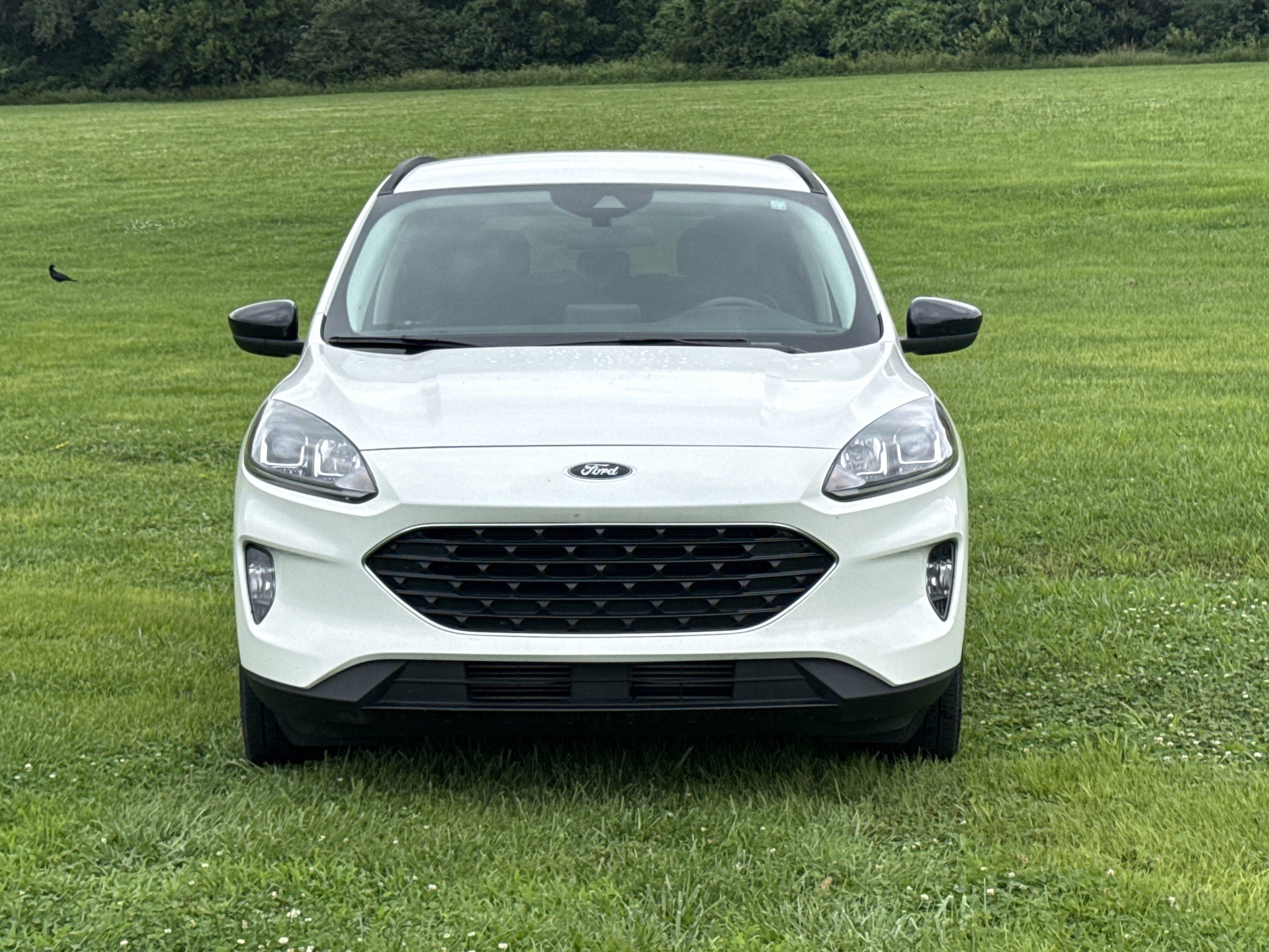 Used 2021 ICONIC SILVER METALLIC Ford SEL image 2