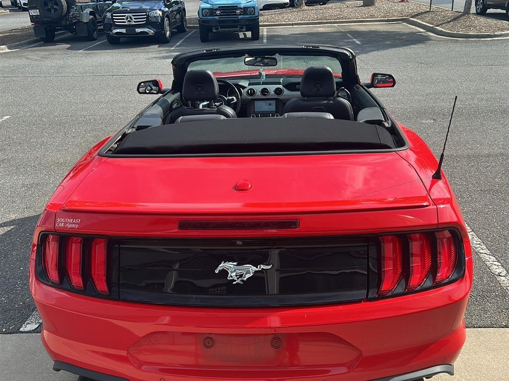 Used 2019 Race Red Ford EcoBoost Premium image 12