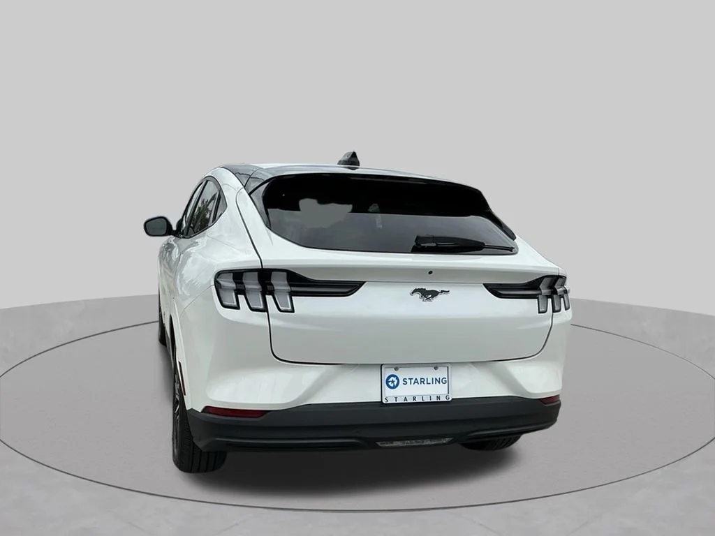 Used 2025 White Ford Premium image 10