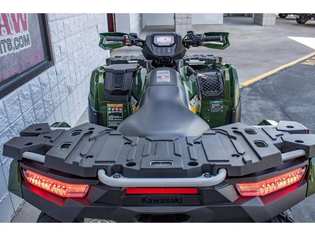 New 2026 Metallic Gold Sparkle Deep Green Kawasaki  image 12