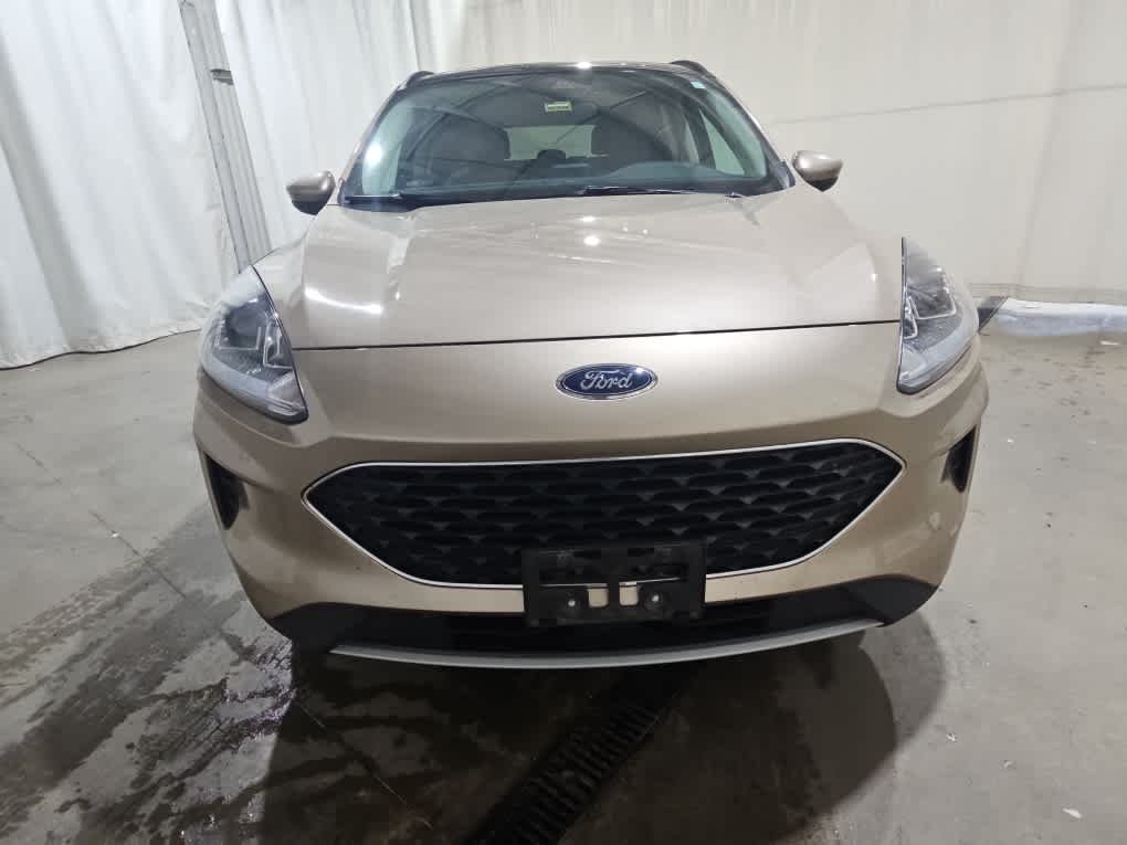 Used 2020 Desert Gold Metallic Ford SE image 7