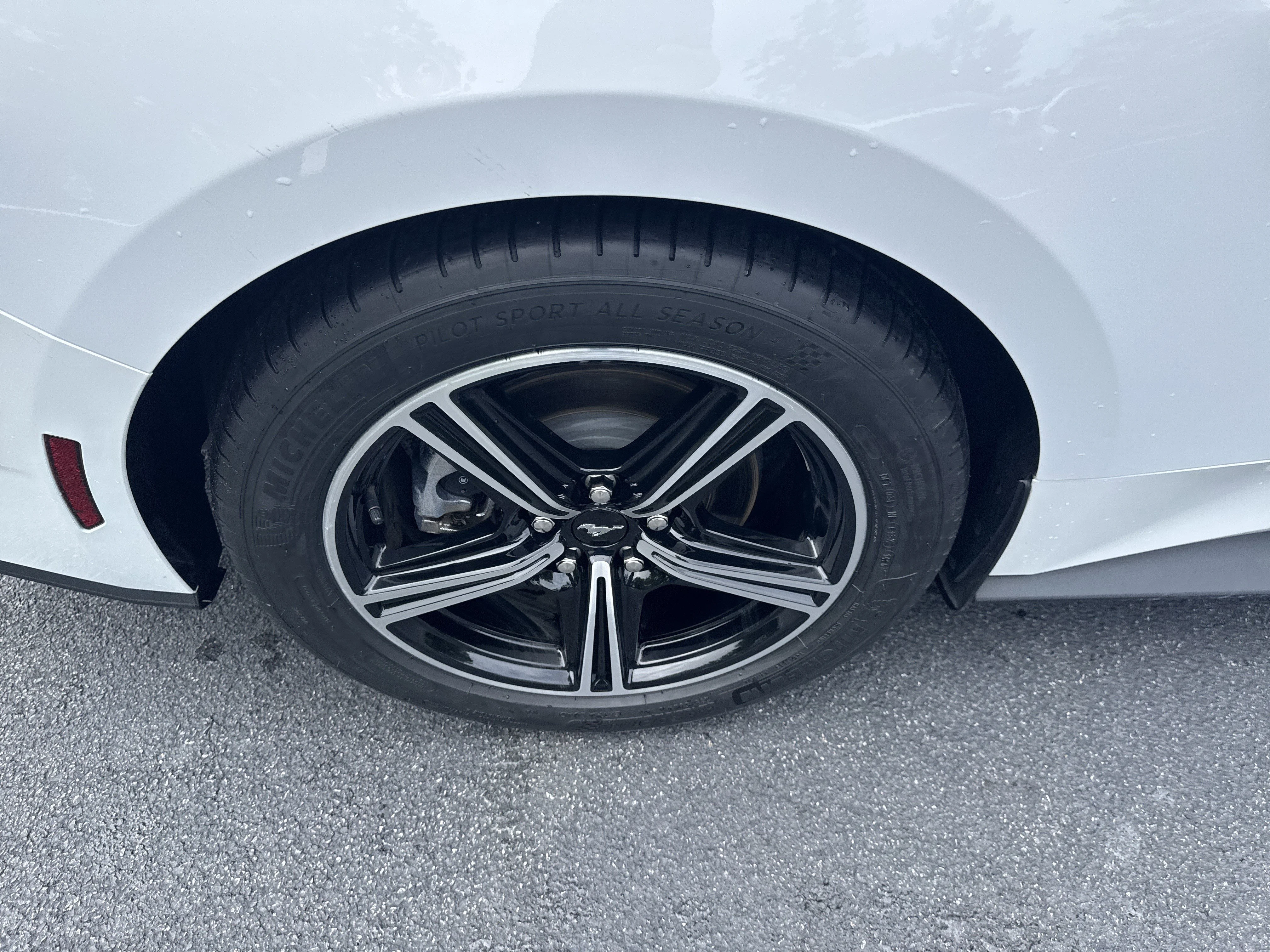Used 2025 Oxford White Ford EcoBoost Premium image 11