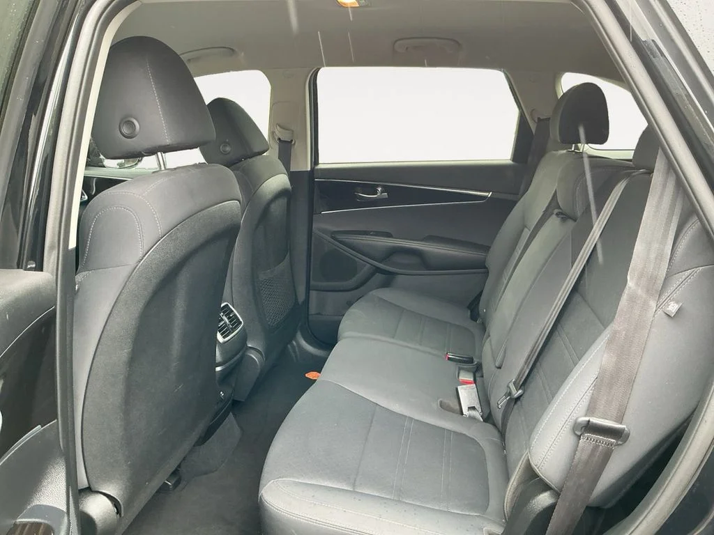 Used 2019 Black Kia L image 19