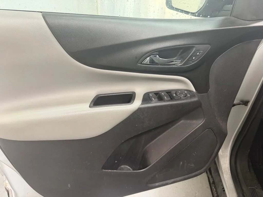 Used 2019 Silver Chevrolet LS image 10