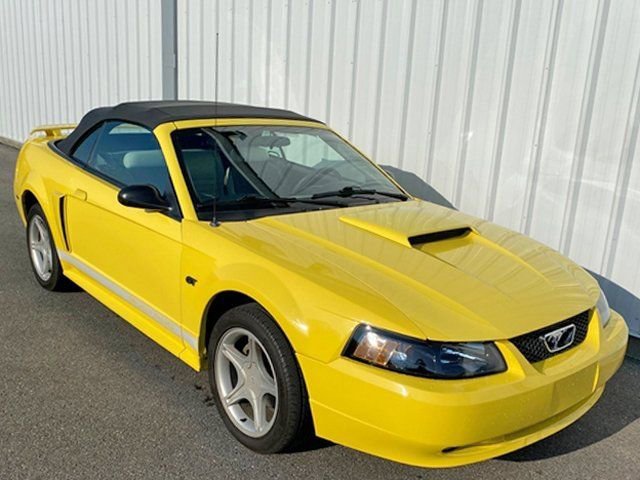 2002 Ford Mustang GT Deluxe's photo