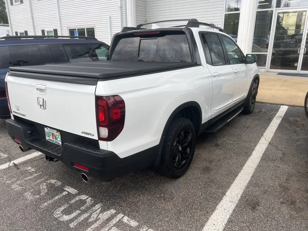Used 2021  Honda Black Edition image 5