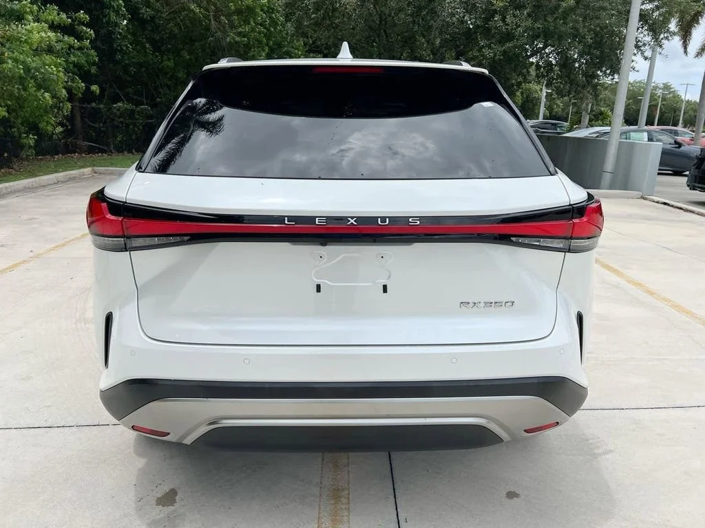 2023 Lexus RX 350 - Photo 6
