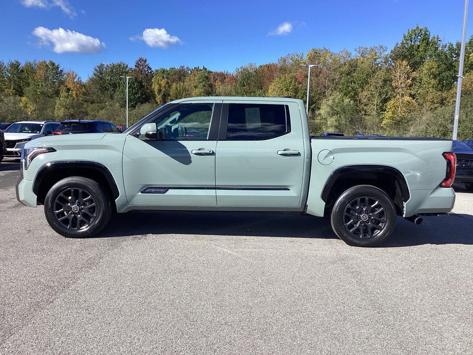 Used 2024 Lunar Rock Toyota Platinum image 4