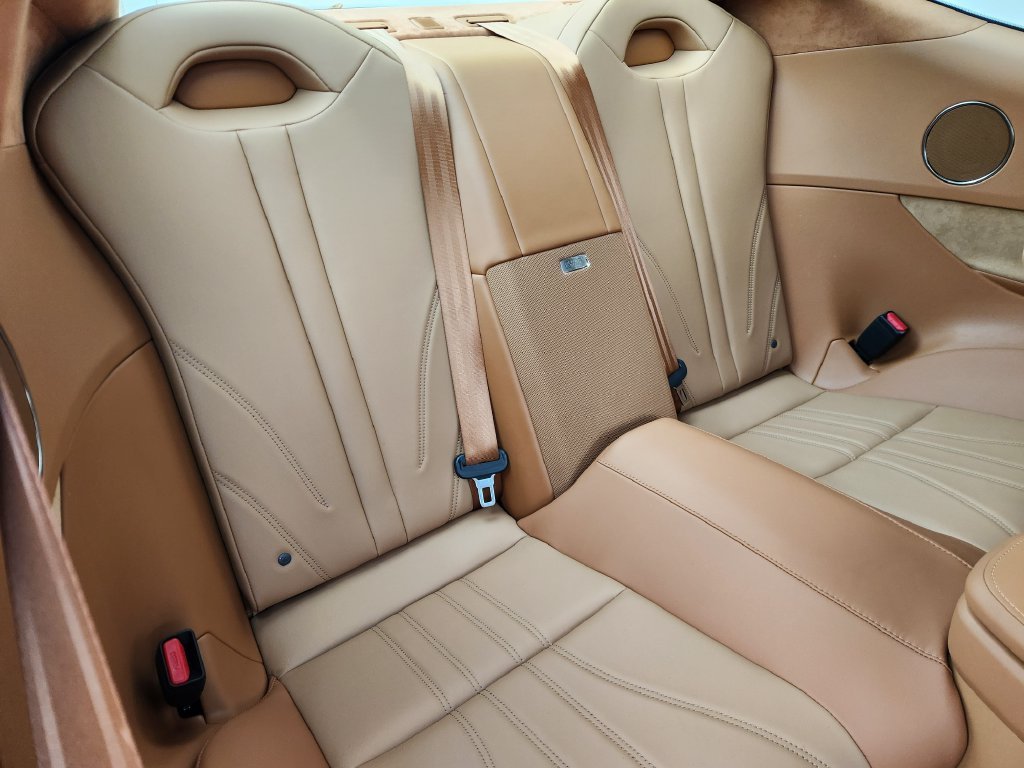 Used 2018 Infrared Lexus 500 image 32