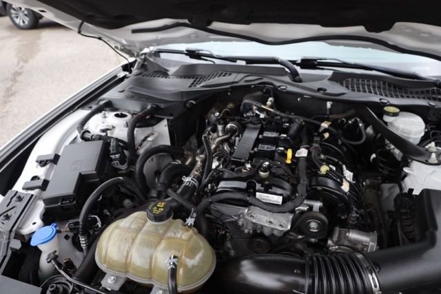 Used 2021 Oxford White Ford EcoBoost Premium image 33
