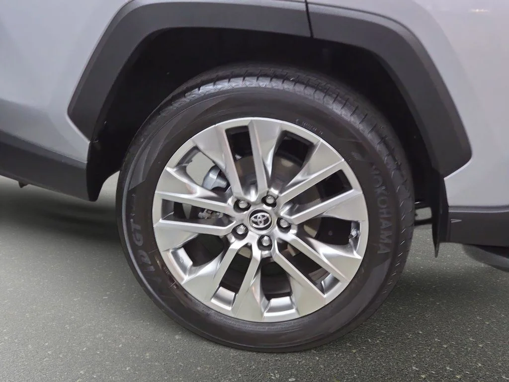 Used 2019 Silver Toyota XLE Premium image 34