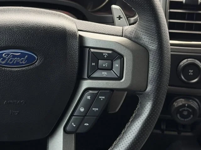 2019 Ford F-150 Raptor - Photo 16
