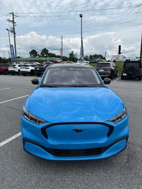 Used 2024 Grabber Blue Ford Premium image 2