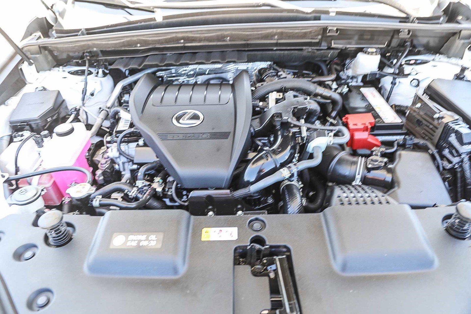 2024 Lexus NX 350 - Photo 25
